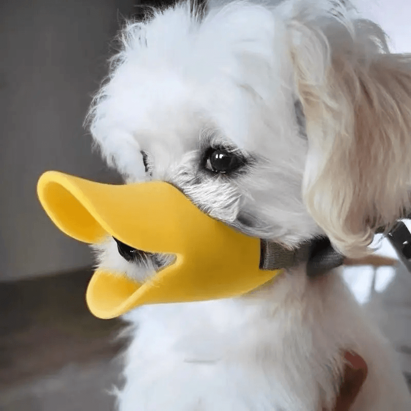 Focinheira Ajustável Bico De Pato Em Silicone Cachorro Cães Tamanho P